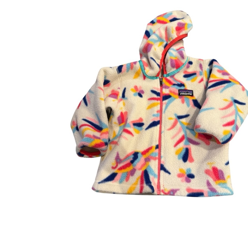 Patagonia Multicolor hooded Fleece Jacket